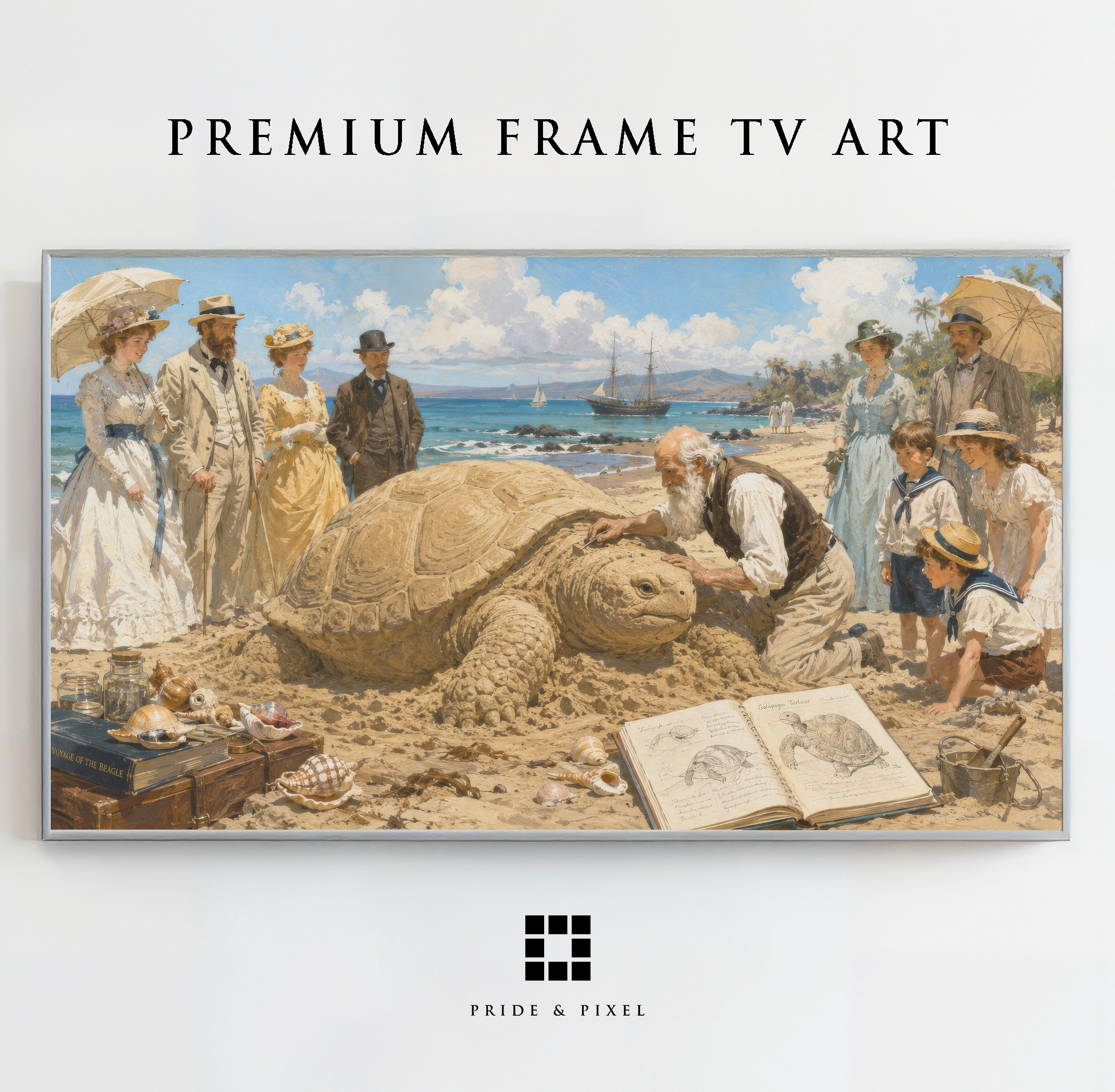 Naturalist Beach Tortoise Study