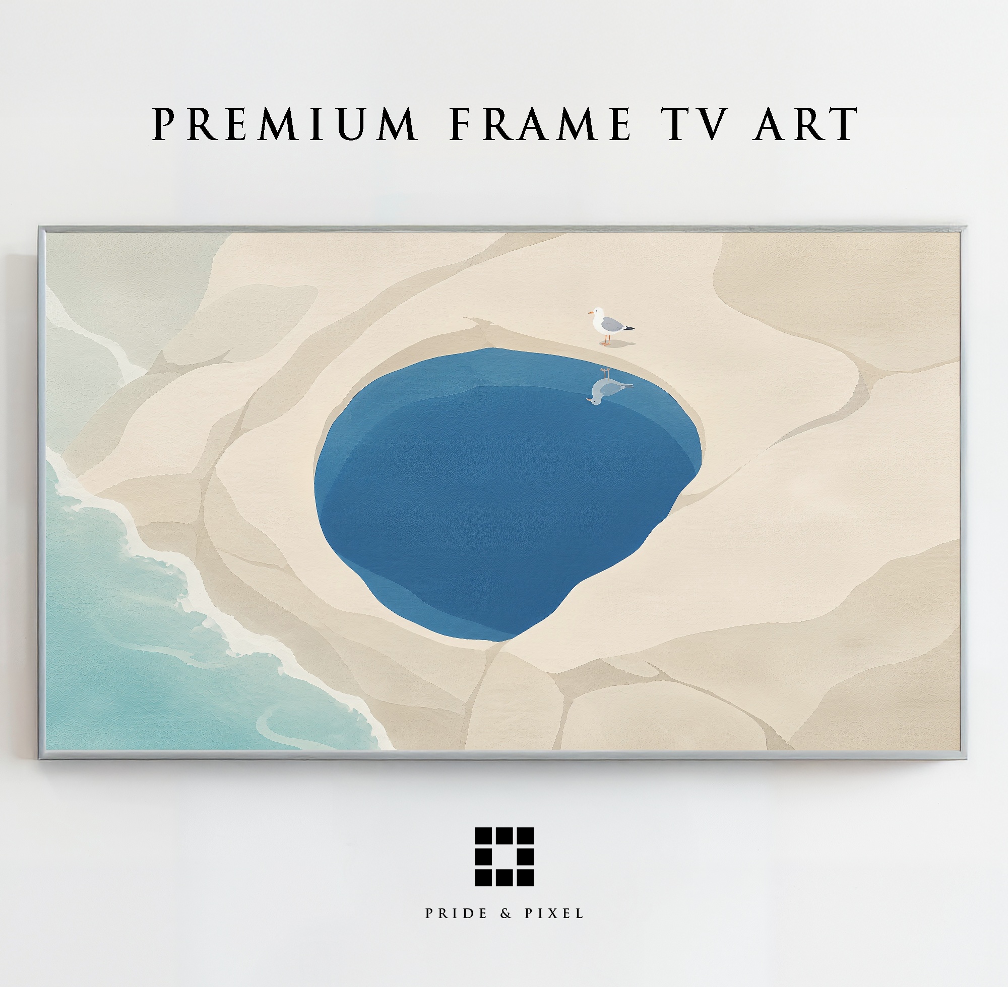Seagull Tidal Pool Aerial View