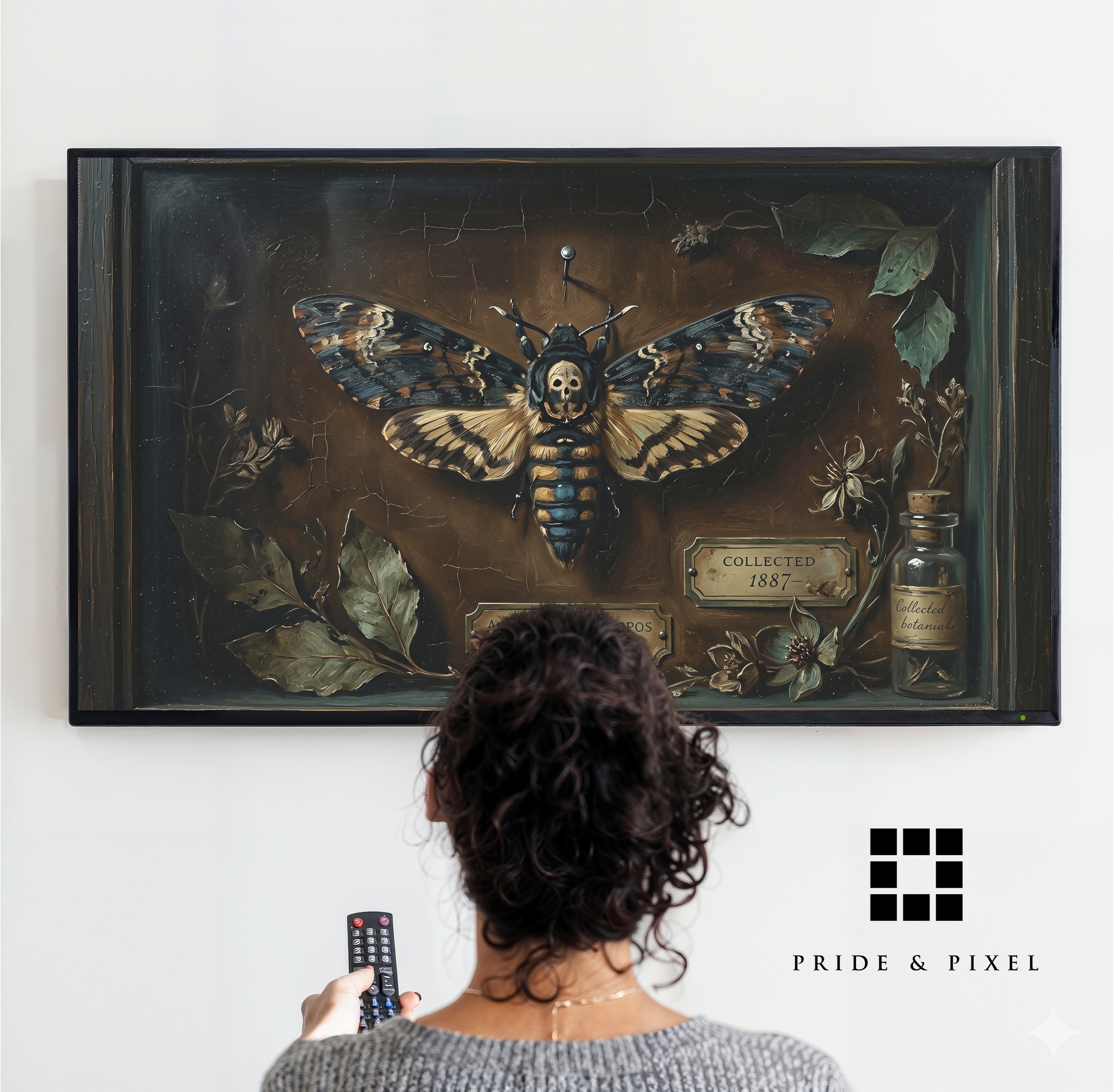 Dark Academia Moth Art: Vintage Death's Head Specimen for Frame TV